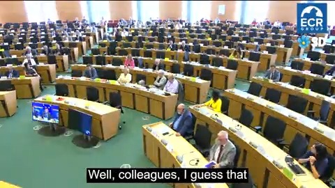 What will the EU do to avoid ethnic cleansing in #Artsakh? My question in the European Parliament to the EU External Action Service today. #Nagorno_Karabakh #NagornoKarabach