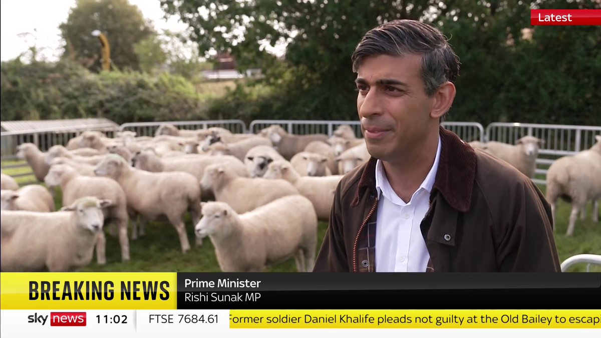 What worries me about this clip is that Rishi Sunak is NOT talking to farming apprentices at Writtle College Essex. He’s actually talking to a flock of sheep.😳 I worry for him. Is he alright? Gaffes like this NEVER happened to the great Boris Johnson.🇬🇧