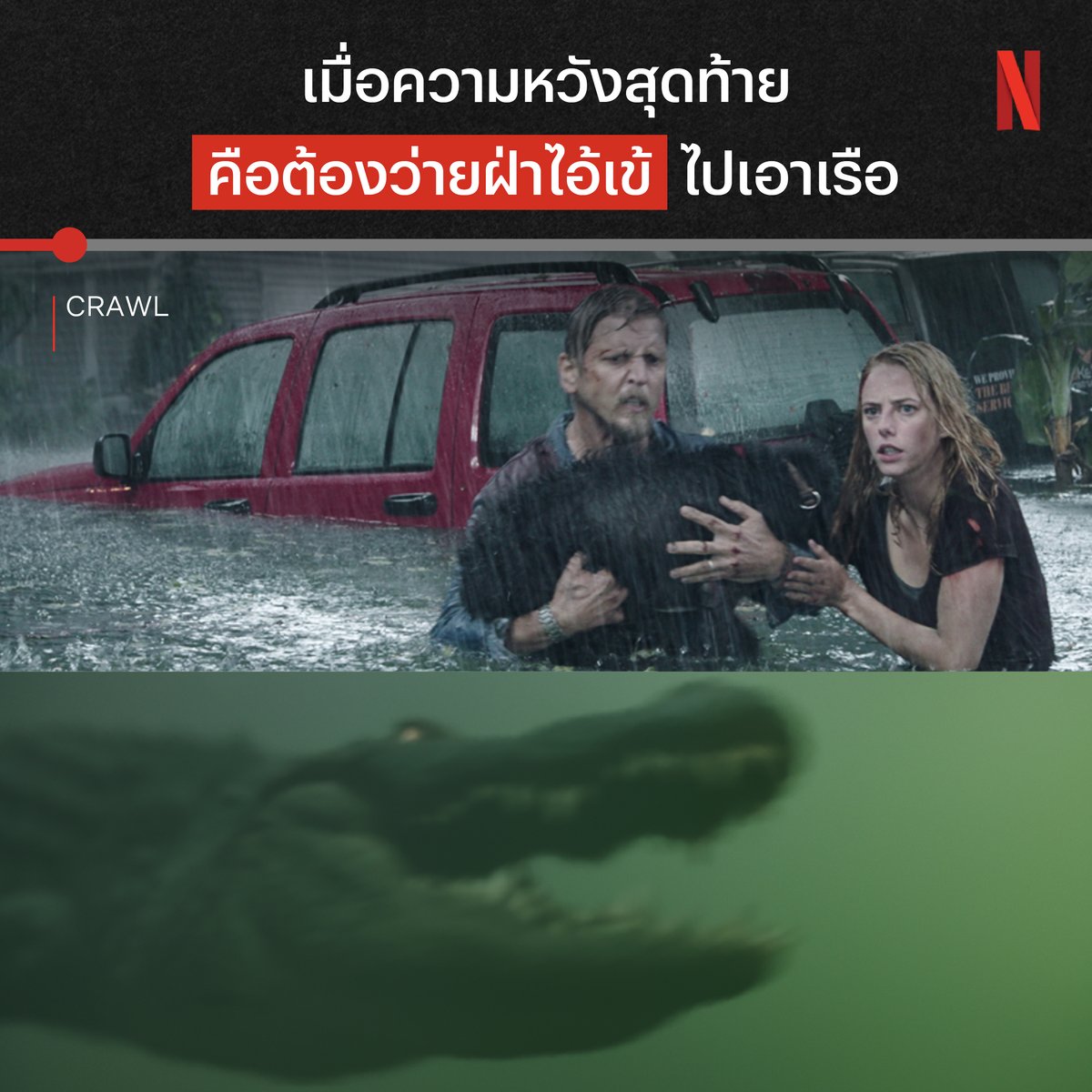 หนึ่งวัน พันเรื่องราว กับตำนานหนังโคตรไอ้เข้ เมื่อสองพ่อลูกเจอพายุเข้า แล้วบ้านอยู่ใกล้ฟาร์มจระเข้ 😰 พบกับการเอาชีวิตรอดแบบลุ้นตัวโก่ง เพราะต้องสู้ทั้งสัตว์ร้าย และต้องสู้กับน้ำที่ใกล้ท่วมมิดหลังคาอีก ตามมาเปิดต่อมลุ้นระทึกกันแบบเต็มๆ ได้ใน #Crawl ที่ #NetflixTH