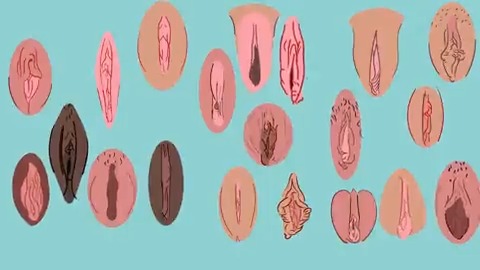 البظر هو عضو في الجسم مهمته هي المتعة الجنسية. شوفوا الفيديو عشان تعرفوا أكتر عنه وافتكروا إن معرفتنا بجسمنا عامل مهم لحياة جنسية ممتعة. تابعوا حملتنا #أول_مرة لمعلومات ونصايح عن التجربة الجنسية الأولى. #الحب_ثقافة #صحة_جنسية
