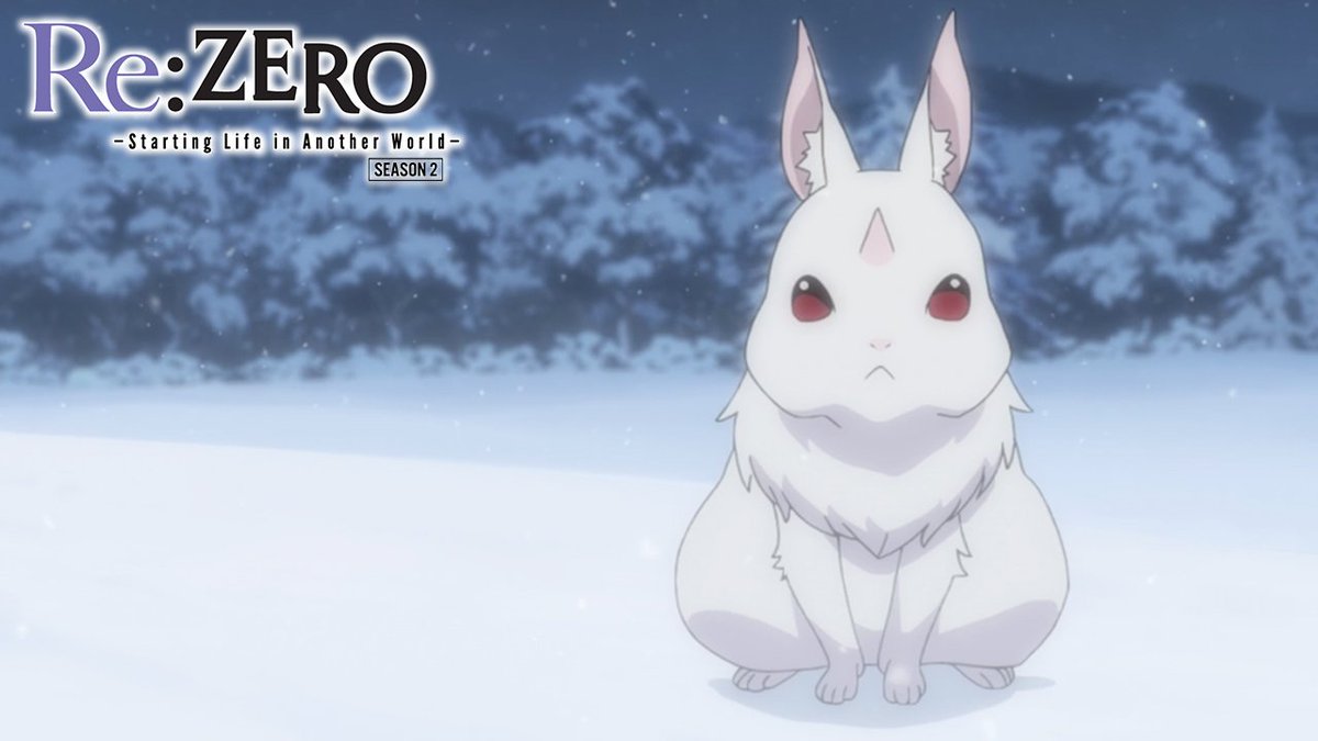 C'est qu'ils nous ont manqué ces adorables petit lapinous. 🐰