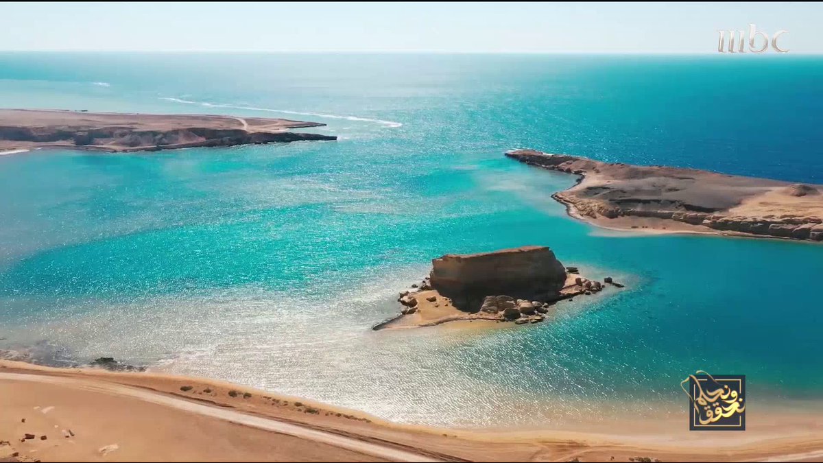 الباحث في قضايا البيئة فيصل القرني: منذ انطلاق الرؤية زرعت السعودية 18 مليون شجرة.. والهدف زراعة 50 مليارا #هي_لنا_دار #نحلم_ونحقق