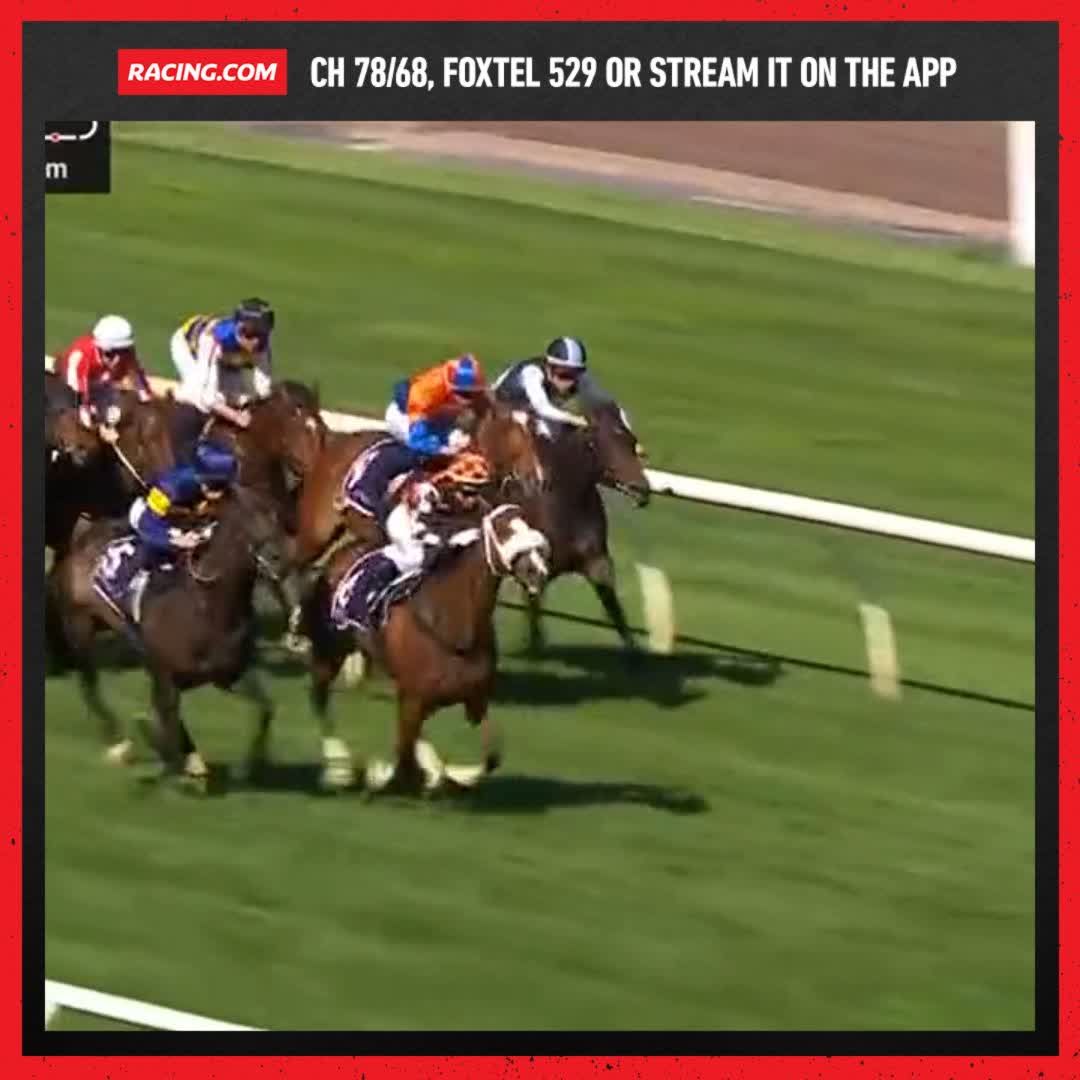 Wolfy picks up his second win in a row with a big run over the top 🐺 Nick Ryan Racing Blake Shinn