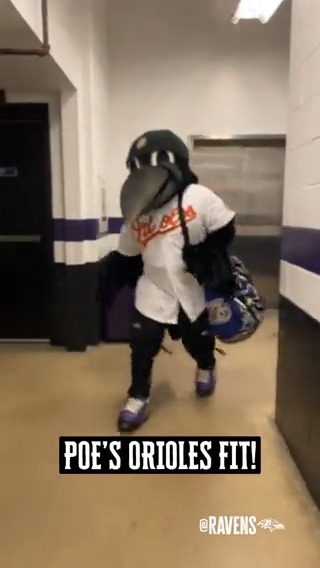 Poe’s gameday fit in honor of the Baltimore Orioles clinching a spot in the playoffs!