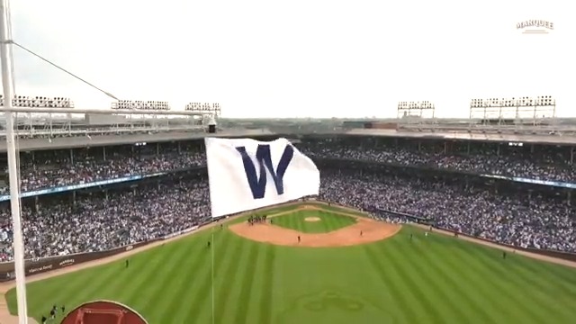Wrigley Field, it's beautiful.