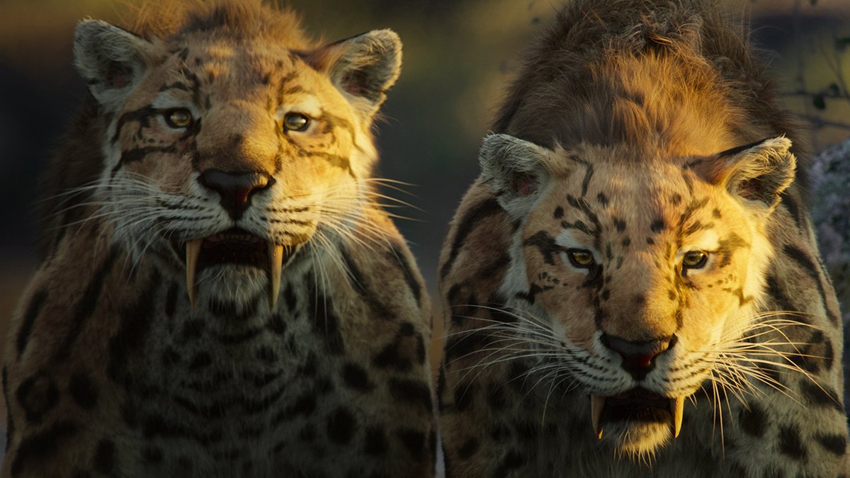 The first teaser for ‘LIFE ON OUR PLANET’, narrated by Morgan Freeman and exec produced by Steven Spielberg. Releasing on October 25 on Netflix.
