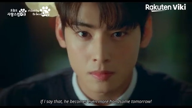 Next month, #ChaEunWoo stars with #ParkGyuYoung & #LeeHyunWoo in the story of a female teacher who becomes a dog at night and falls into a love triangle with two male co-workers! 😲💞 Don't miss the Oct 11 premiere of #AGoodDayToBeADog on #Viki: