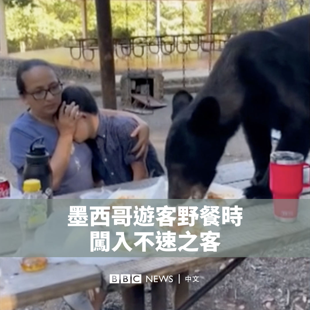 在墨西哥新莱昂州的奇平克生态公园，一群游客在野餐时，突然闯入一位不速之客。 一只饥饿的黑熊登上桌子，大快朵颐地将桌上的食物一扫而光。旁边的游客则待在原地不动。它随后跳下桌子，扬长而去。 这段影片在社交媒体平台TikTok上疯传，浏览量超过1000万。