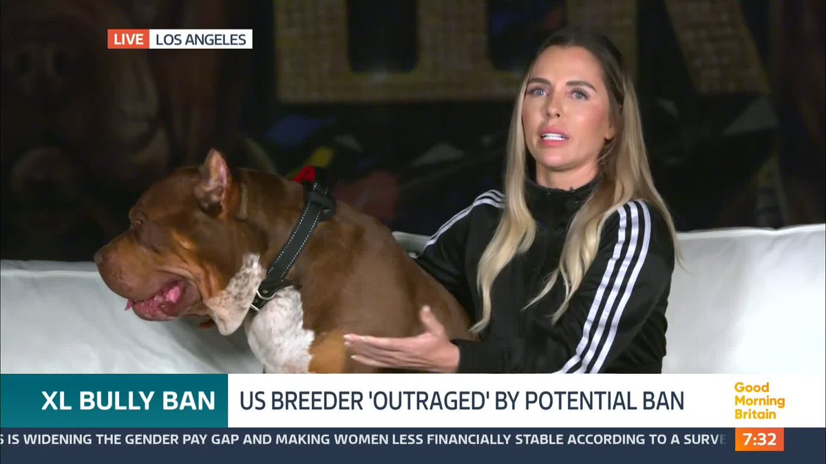 'If you ban XL Bullies then it's just going to be another breed and the wrong people are going to get those dogs and do the wrong things with them' The owner of one of the largest XL bullies dog kennels in America is outraged over the British government's plans to ban the breed.