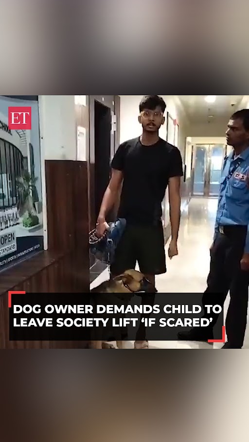 Greater Noida: Dog owner demands child leave society lift ‘if scared’; watch heated argument 🌐 Catch the day's latest news and updates ➠