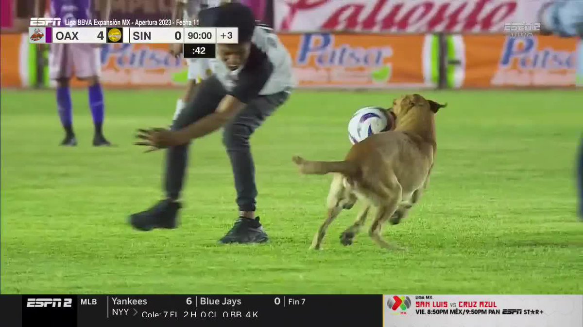 🥰 EL MEJOR JUGADOR DE LA LIGA DE EXPANSIÓN 🥰 🐶 Nadie se la pudo quitar... ¡Un verdadero CRACK! ❤ Se ganó el corazón de TODOS #ESPNenStarPlus