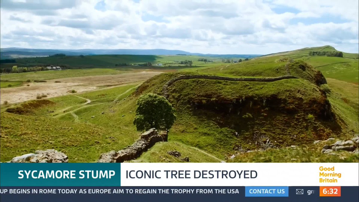 'There's almost a collective sense of grief.' A teenager has been arrested after the iconic Sycamore Gap tree was felled overnight. The tree next to Hadrian’s Wall in Northumberland, was made famous when it appeared in Kevin Costner’s 1991 film Robin Hood: Prince Of Thieves.
