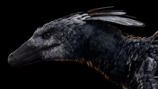 We received tons of questions about our Deinonychus model, so we wanted to show a bit more of what will be showcased in the demo. We've been working on a few AI systems for this bunch, importantly combat and natural living behaviors when not engaged with the player. We love this one. #gamedev #ue5 #feathereddinosaurs #paleontology #paleoart #instinction