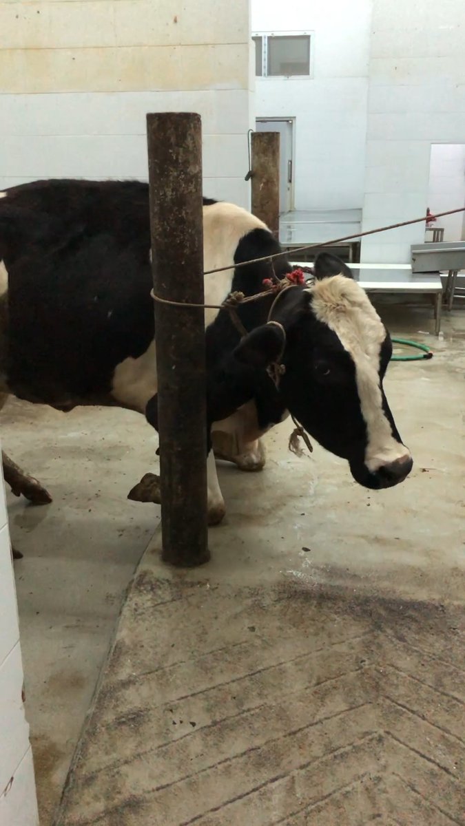 She was desperately looking for someone to help, but they just made it worse 😢💔