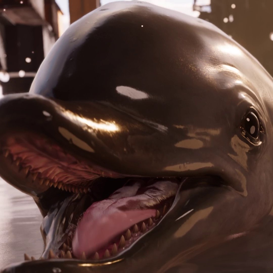 Fintastic 🐬 #FF7R