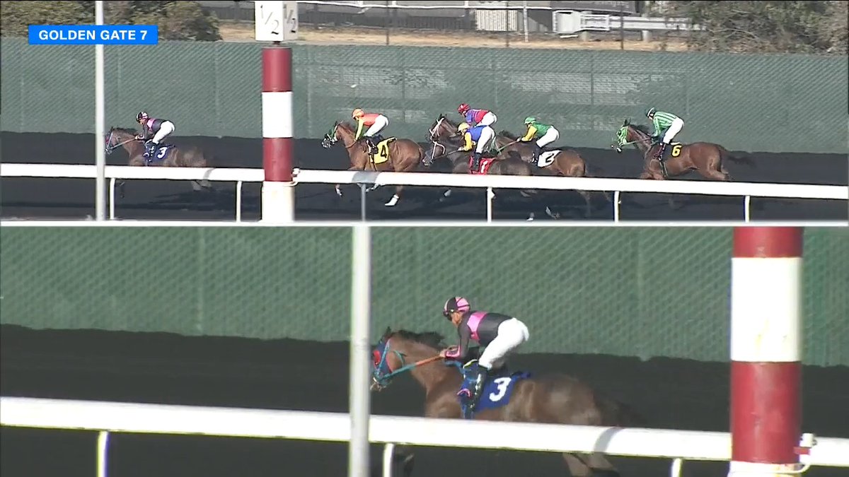 ๐ฒ "I don't know what happened there!" - Matt Dinerman #3 MORNING ADDICTION ($5.20) comes back to win Race 7 at Golden Gate Fields with Assael Espinoza up!