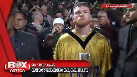 🔴EN VIVO: Al ritmo de Santa Fe Klan, el camino del campeón al ring: así fue el recorrido de Saúl ‘Canelo’ Álvarez al cuadrilátero para su pelea ante Jermell Charlo #BoxAzteca 🥊 #ComoUnCampeón