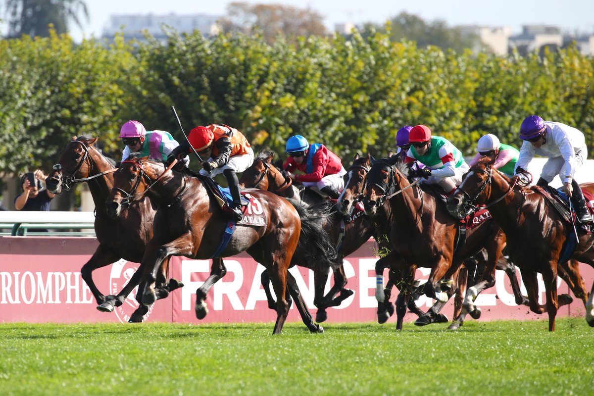【🇫🇷#凱旋門賞】 スルーセブンシーズ、C.ルメール騎手のジョッキーカメラです。 🎥: France Galop