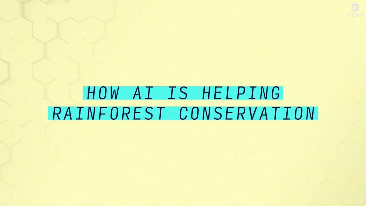 How AI is helping rainforest conservation: The technology will allow conservationists to study at-risk species in detail.