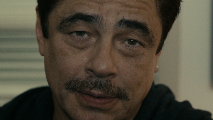 Benicio del Toro’s performance in Reptile… simply a must-see.