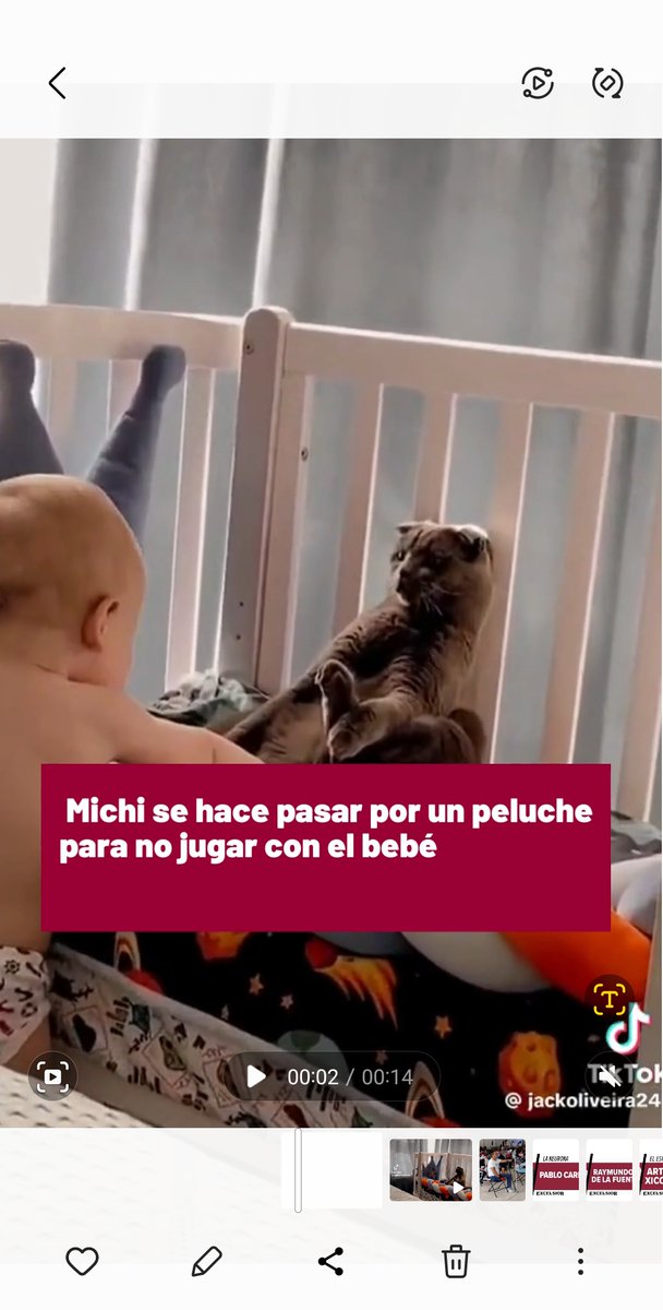 🐱🤣😅 ¡Maestro del camuflaje! Gatito domina técnica y se hace pasar por peluche para no jugar con él bebé. ¡Merece un Óscar! #ExcélsiorDigital