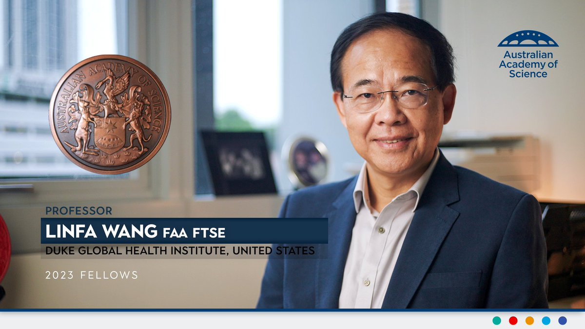 Meet the Batman – Prof Linfa Wang FAA FTSE. Like the eponymous hero, his superpowers are his vast subject knowledge and willingness to answer the call to action. The bat expert had been considering retirement but was quick to step up when COVID struck.