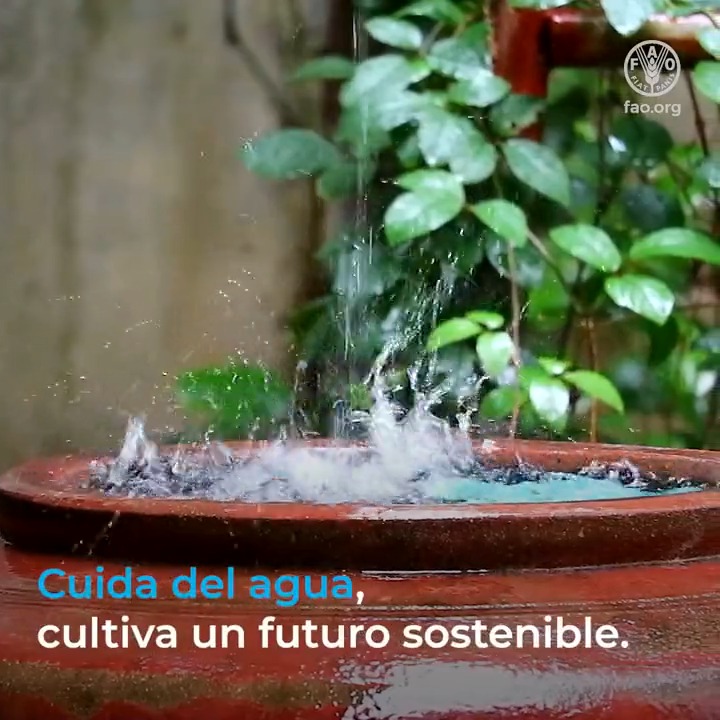 El agua es: 💧Alimento 💧Prosperidad 💧Energía 💧Vida No la demos por sentado. Cada uno de nosotros puede tomar #AcciónPorElAgua y ser parte del cambio👉 #DíaMundialDeLaAlimentación