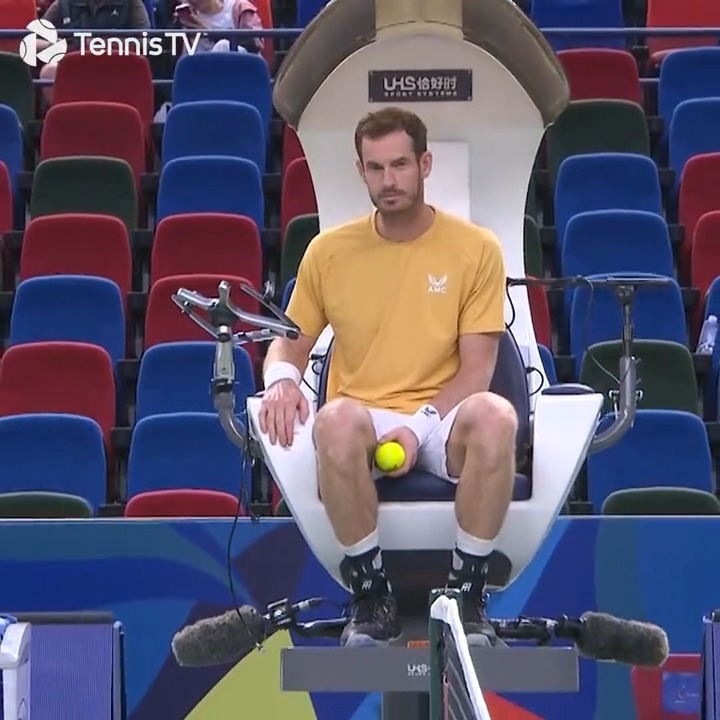 No-one: Not a single soul: Andy Murray seeing an empty umpire chair: