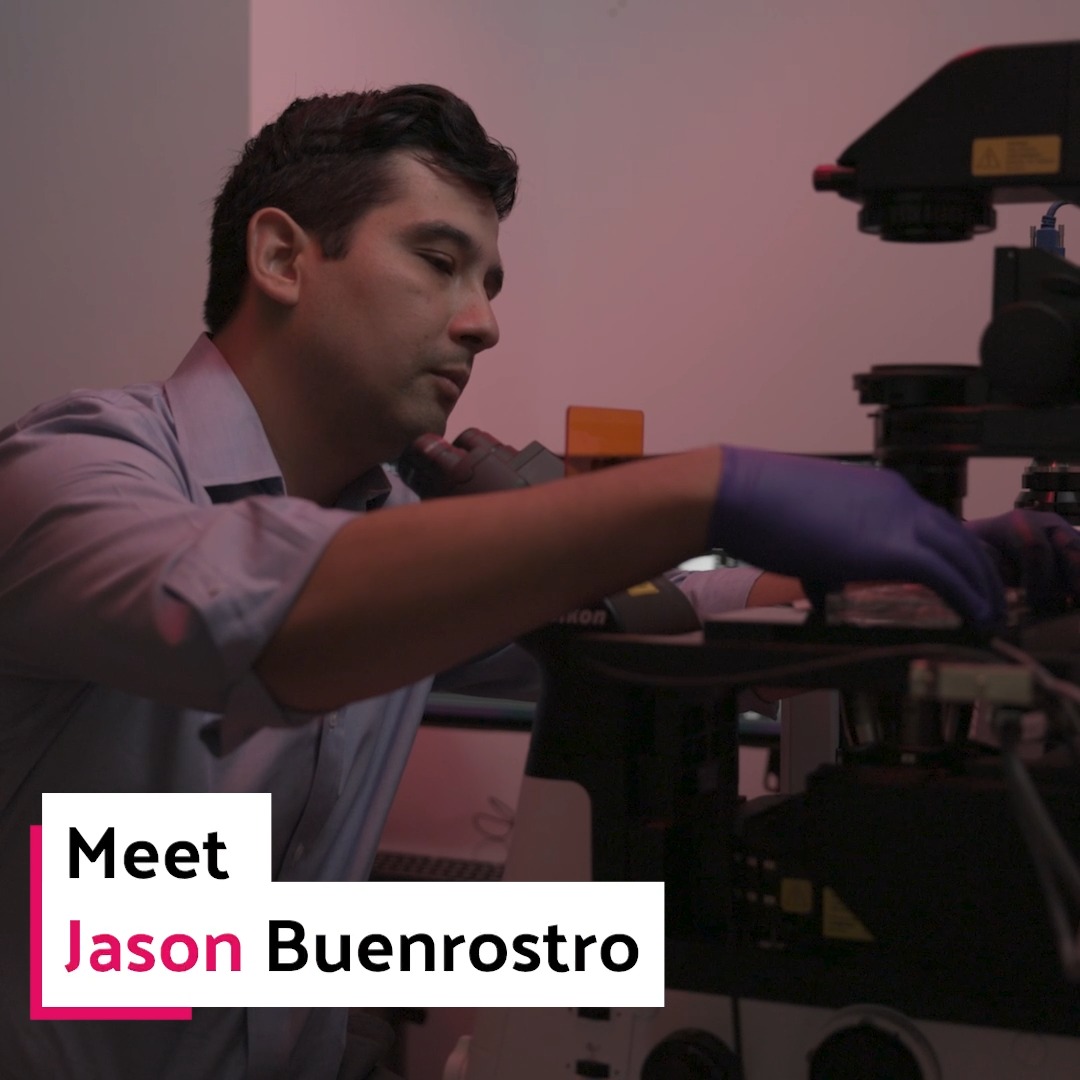 Jason Buenrostro (Jason Buenrostro) is a cellular and molecular biologist and 2023 MacArthur Fellow investigating the mechanisms that regulate gene expression. #MacFellow Explore his work and all the 2023 MacArthur Fellows on our website!