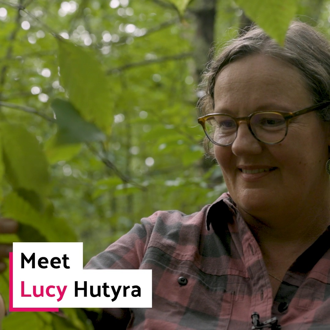 Lucy Hutyra (@lrhutyra) is an environmental ecologist and 2023 MacArthur Fellow investigating the impacts of urbanization on carbon cycle dynamics. #MacFellow Explore her work and all the 2023 MacArthur Fellows on our website!