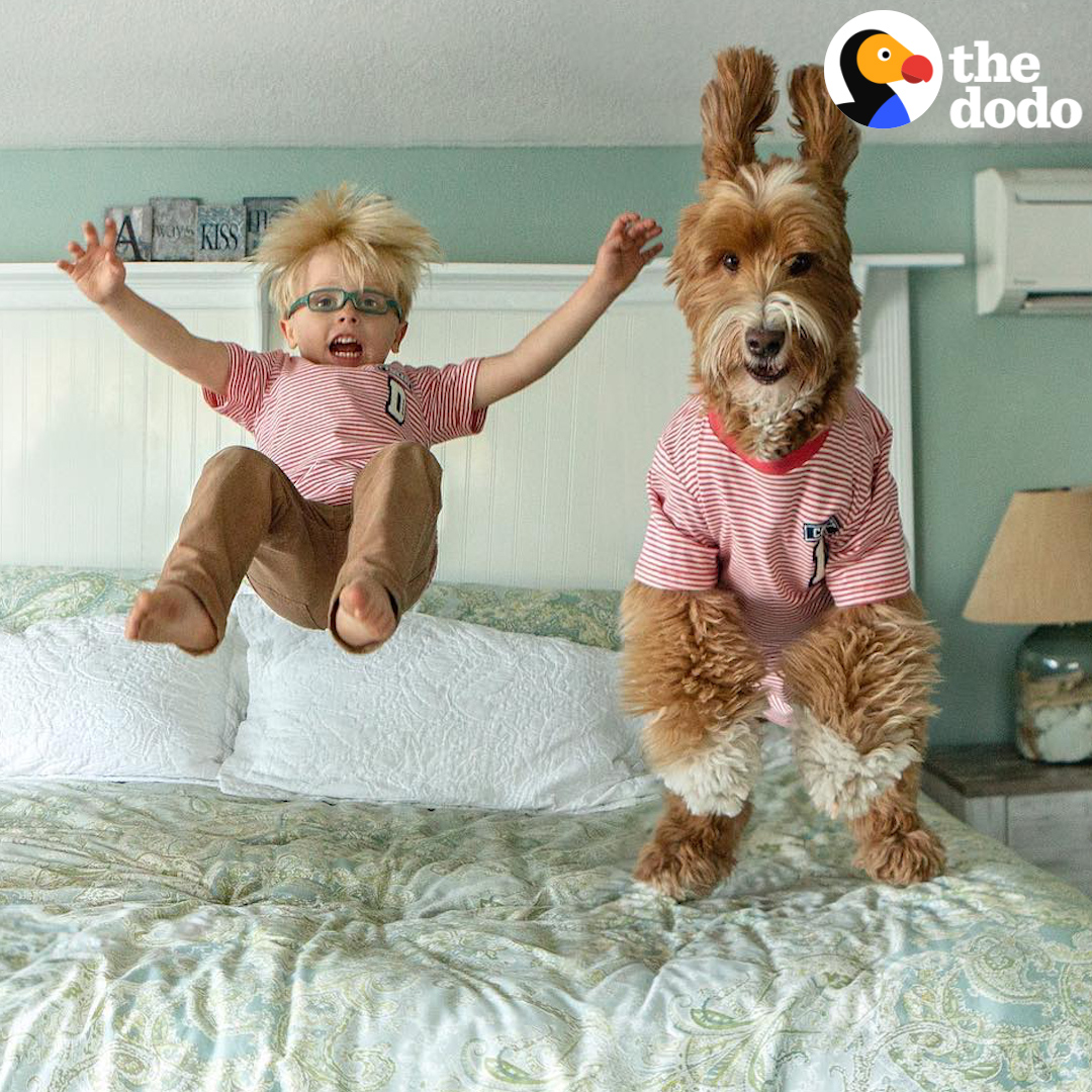 There’s nothing like the bond between a kid and his first dog 💞