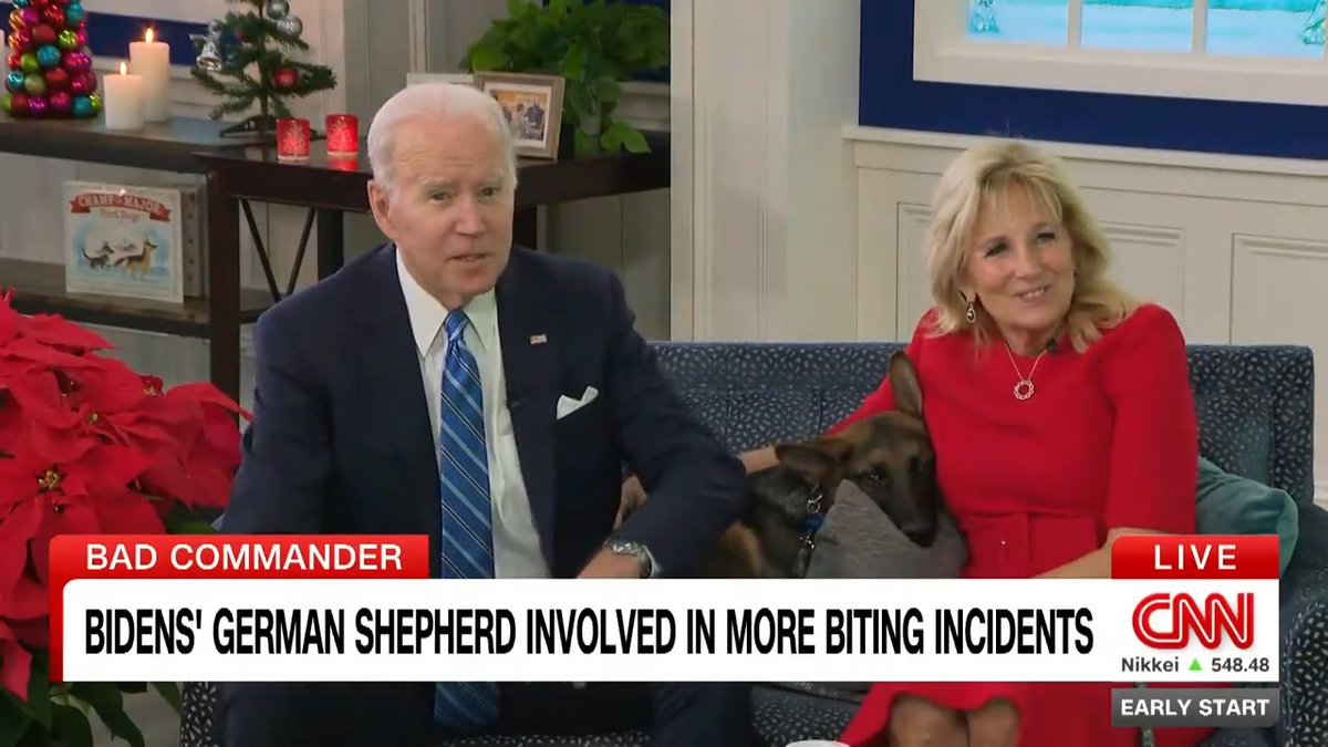 President Joe Biden and first lady Dr. Jill Biden’s 2-year-old German shepherd, Commander, has been involved in more biting incidents than previously reported at the White House, multiple sources familiar with the matter told CNN