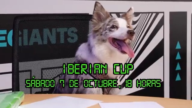 ¿Debemos hacer previas para la Iberian Cup? 🫤 Solo una reunión entre Th3Antonio, Jesskiu✨, Oscar Brock y Nala ha podido resolver, de una vez por todas, este debate.
