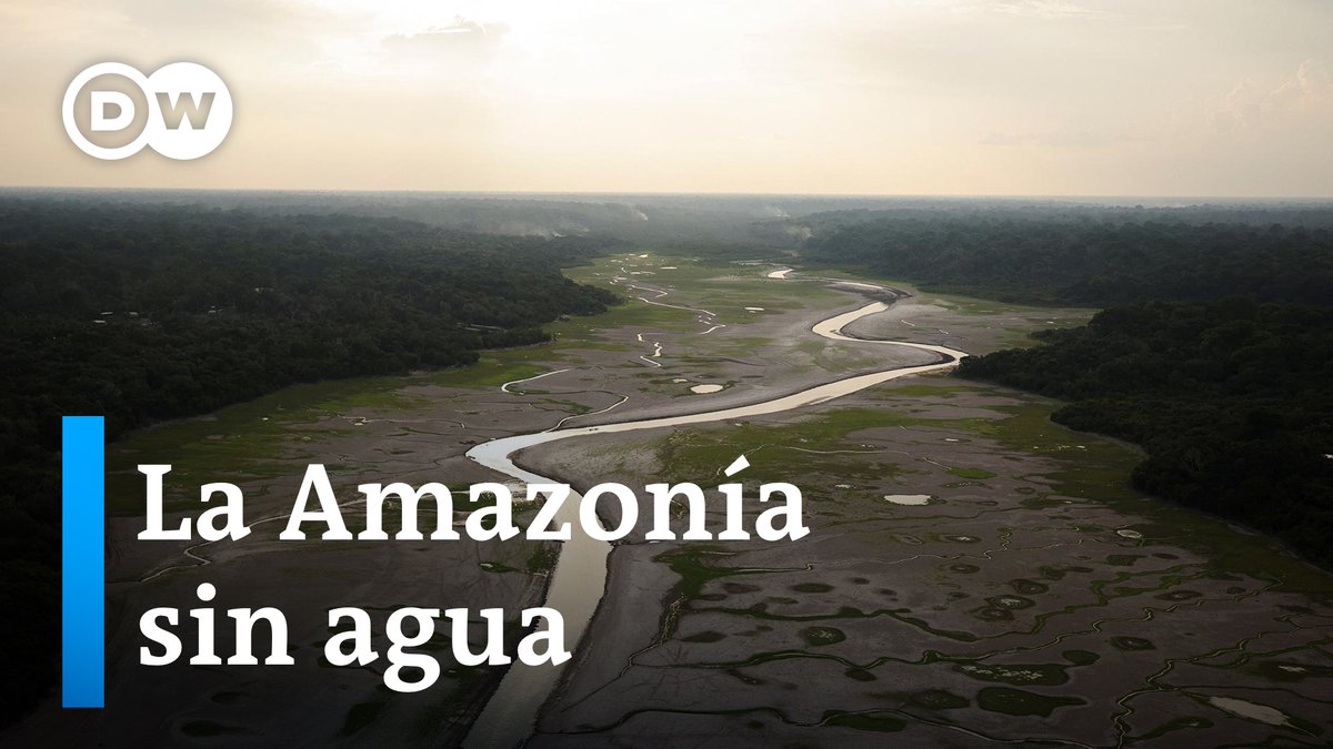 Baja el nivel del agua del río Amazonas El río más caudaloso del mundo bajó 10 metros de nivel en poco más de un mes en Manaos, Brasil. La situación es desesperante para los pobladores que necesitan el agua para navegar y abastecerse. /cvml