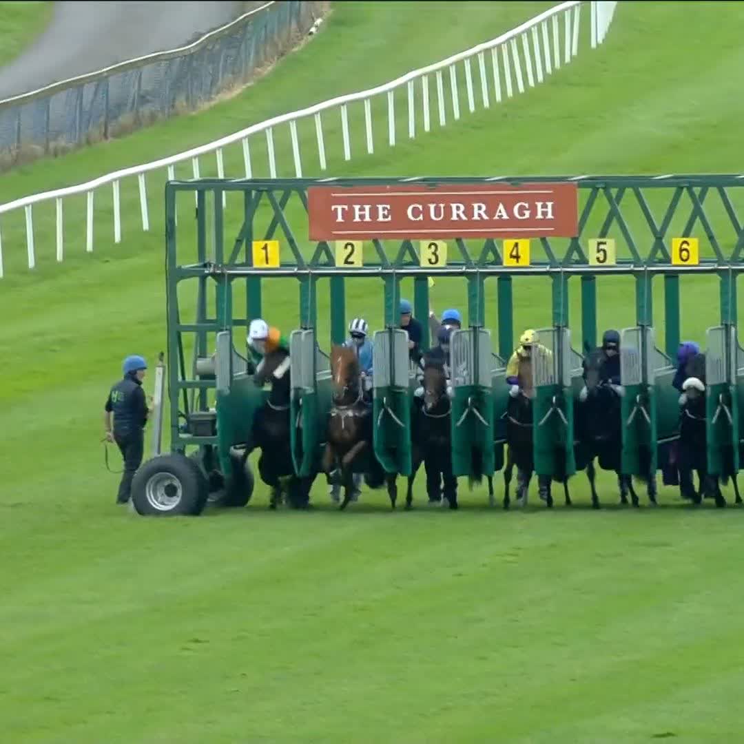 A horse looking after a jockey. Dream Today ❤️