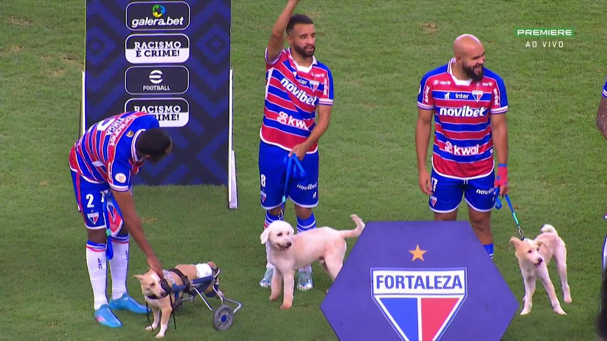 Os jogadores do Fortaleza entraram em campo acompanhados de cachorrinhos que vivem em abrigos. Em campanha que estimula adoção de animais abandonados, e tirados de situação de rua. - NÃO COMPRE! 🐶 - ADOTE! 🐶 📽️: GE