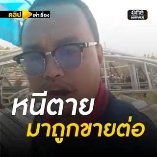อยากกลับบ้าน! แรงงานไทยในอิสราเอล ขอความช่วยเหลือ หลังหนีตายแต่กลับถูกนำมาขายแรงต่อ #คลิปเล่าเรื่อง #สงครามอิสราเอล #อิสราเอล