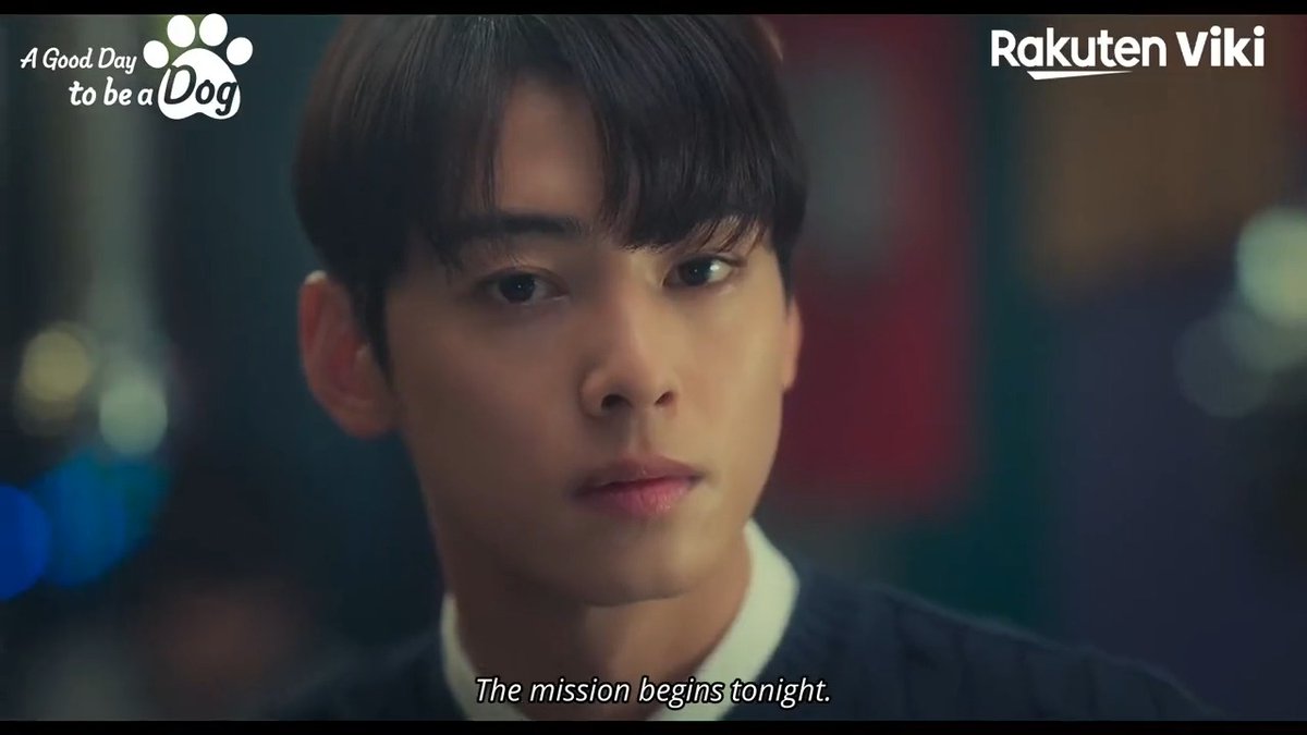 Just a few hours left until #ChaEunWoo, #ParkGyuYoung, and #LeeHyunwoo charm us to pieces in the romcom we’ve been waiting so long for… We’re so DOG-gone excited! 🐶😍 Catch #AGoodDayToBeADog, premiering Oct 11 – on #Viki: