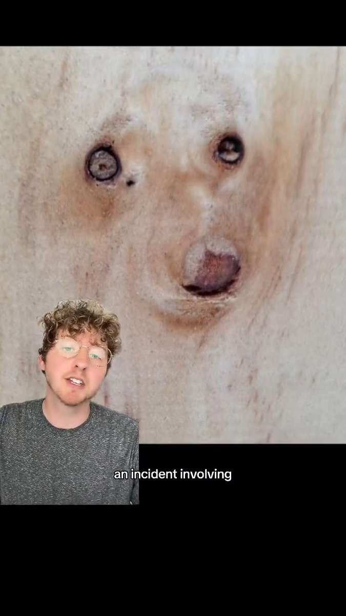 Today we are recognizing dogs whose souls are trapped in wood…