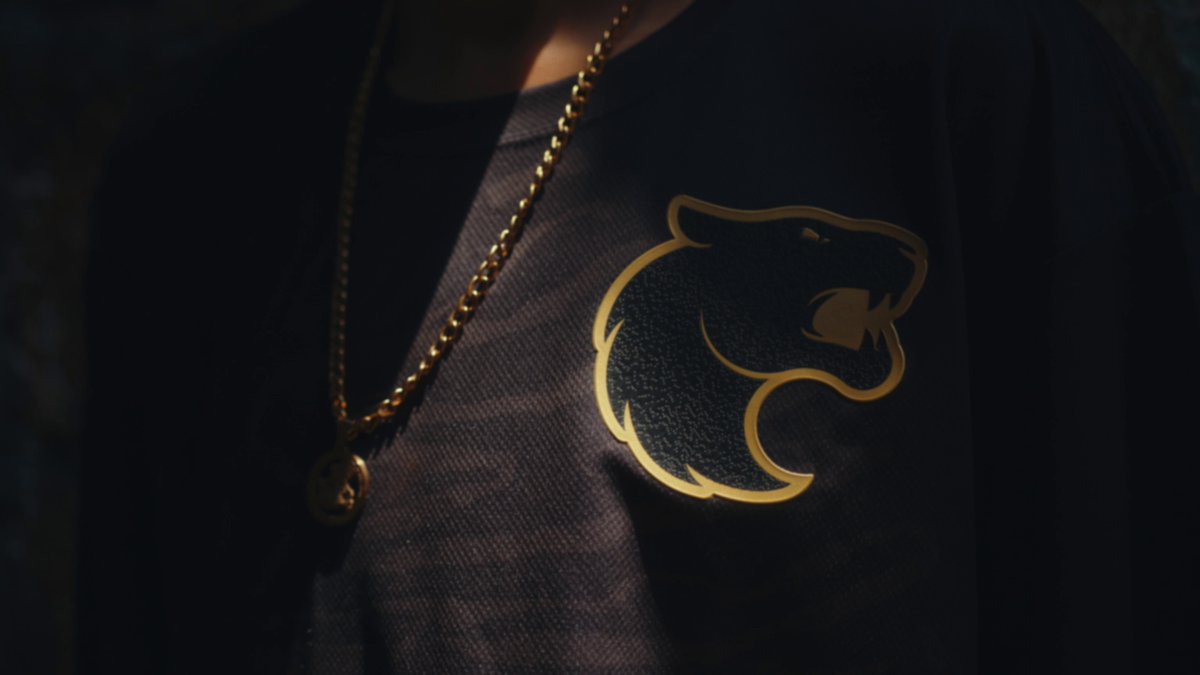 O futuro é preto, poderoso e inspirador. A pantera negra, símbolo de diversidade e poder, veste o novo manto e define um marco na nossa história, materializando o compromisso da FURIA com a igualdade racial e a inclusão nos esports. #FutureIsBlack