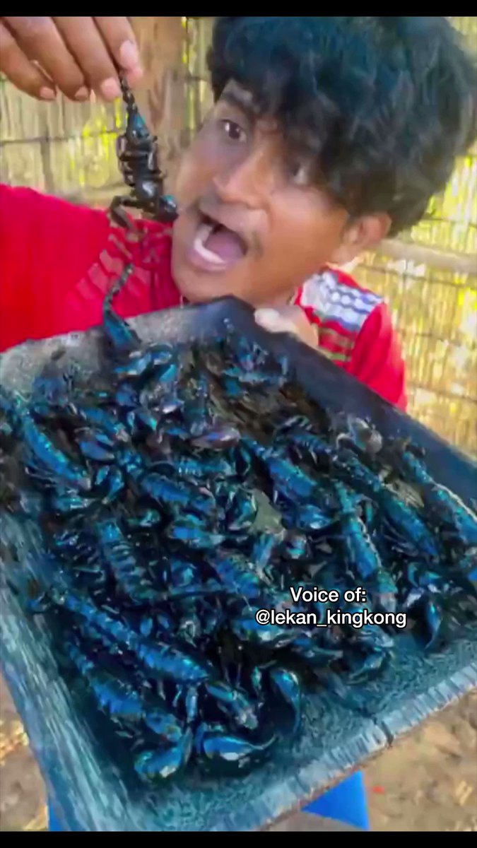 How to make Stair-fry-keke (stair-fry-scorpion) #yoruba #voiceover YORÙBÁ VERSION