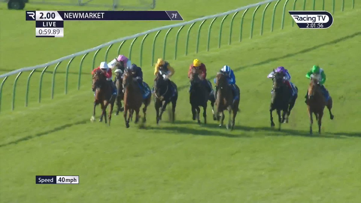 City Of Troy. Brilliant in the Dewhurst Stakes 🚀 🏇 Three runs 🥇 Three wins 🏆 G1 Native Trail Dewhurst Stakes 🏆 G2 Superlative Stakes 😍 What a prospect Ballydoyle Racing | Newmarket Racecourse