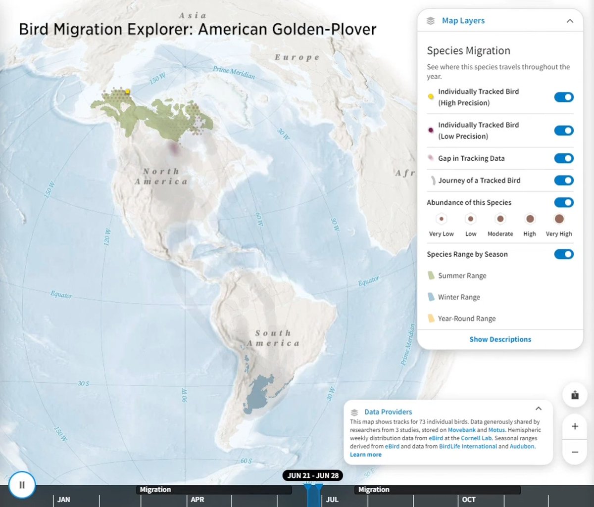 Have you ever wondered where your local birds go? To celebrate one of nature's most incredible phenomena on #WorldMigratoryBirdDay, explore the Bird Migration Explorer to see the epic journeys of 450+ species of migratory birds &amp; the challenges they face:
