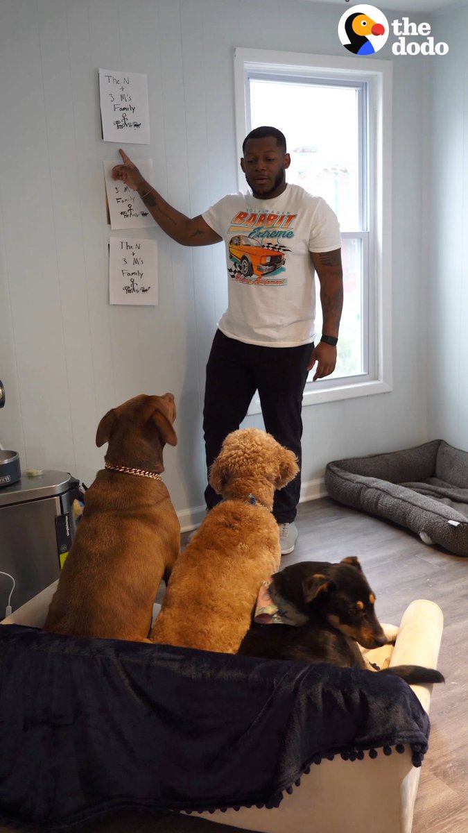Guy browsing Petfinder accidentally gets a second dog ... then a third one shows up on their road trip! 💕