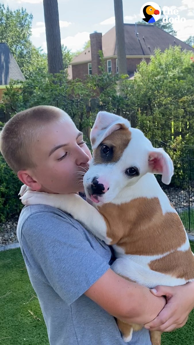 This kid became obsessed with saving shelter dogs when he was 3 years old — and went on to find 4,800 of them homes ❤️