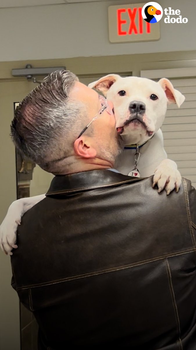 Guy adopts a 'broken' dog and it's the best decision ever ❤️