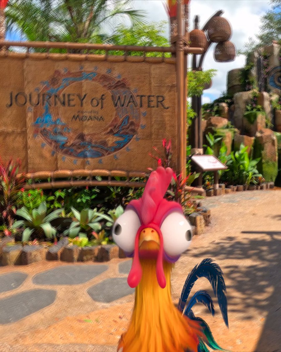 Follow Heihei for a splashy tour through the all-new Journey of Water, Inspired by Moana. Tag your sidekick and join the journey! 💦🐓