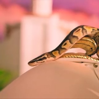 Tomorrow... 🐍 #CanadasDragRace