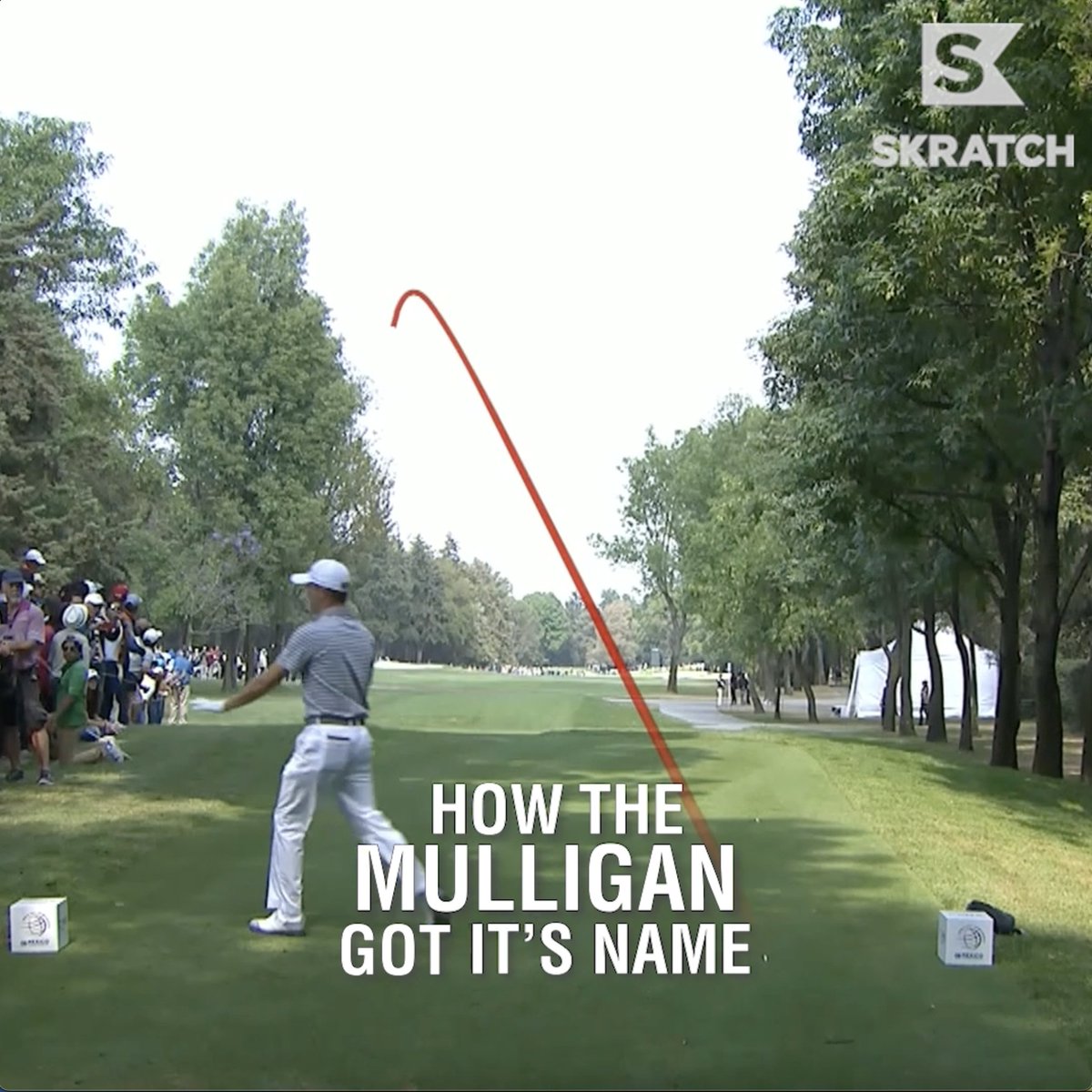 Be sure to take an extra mully or two on #NationalMulliganDay.