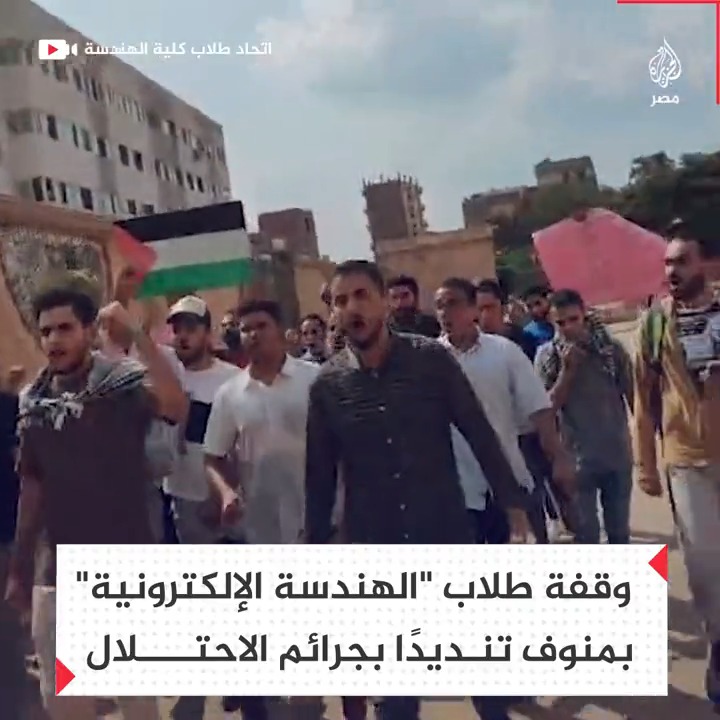 "لبيك يا فلسطين".. مسيرة لطلاب كلية الهندسة الإلكترونية بجامعة المنوفية تنديدًا بجرائم الاحتلال ضد الأطفال في غزة